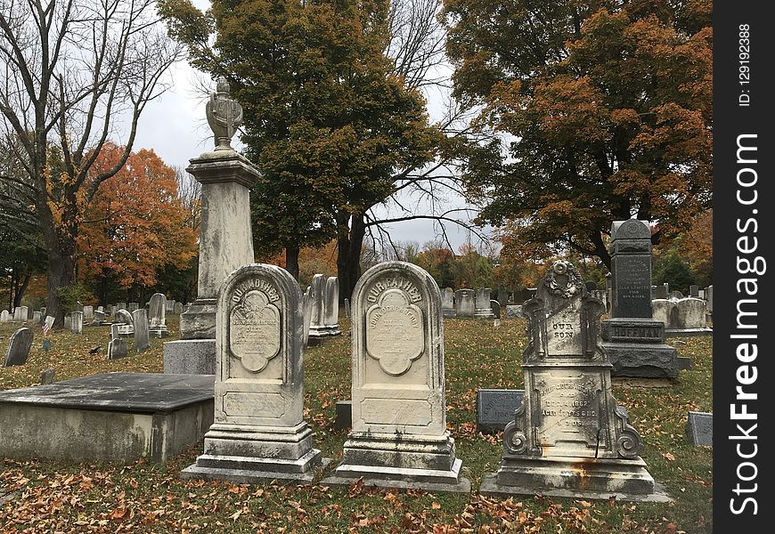 Cemetery, Grave, Headstone, Tree