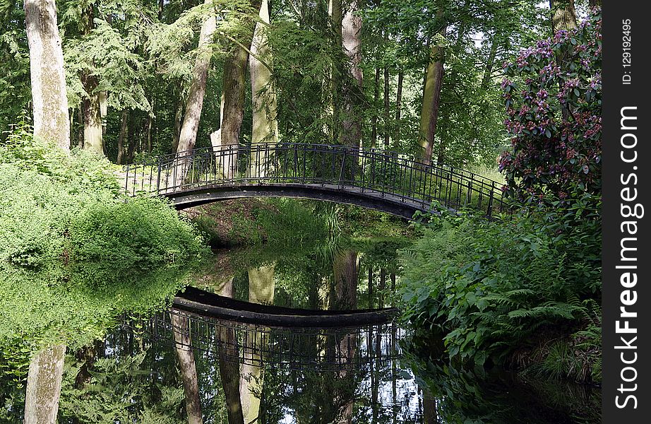 Reflection, Water, Nature, Green