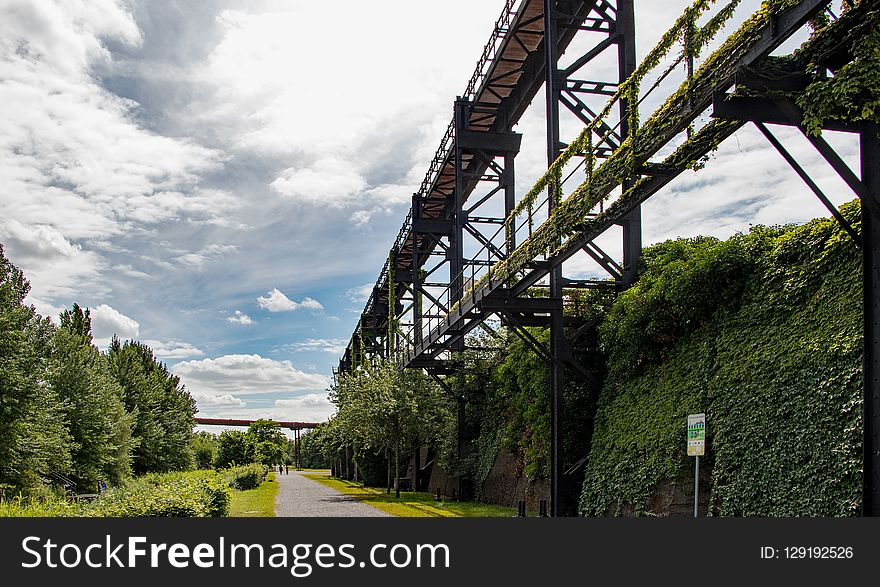 Sky, Transport, Tree, Bridge