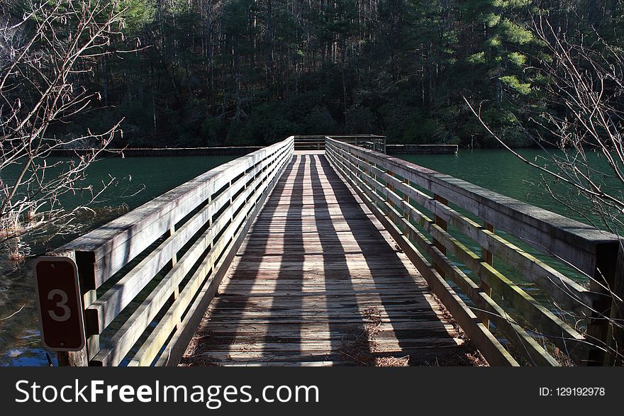 Bridge, Water, Reflection, Tree