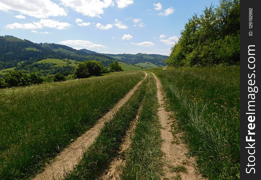 Road, Path, Grassland, Vegetation