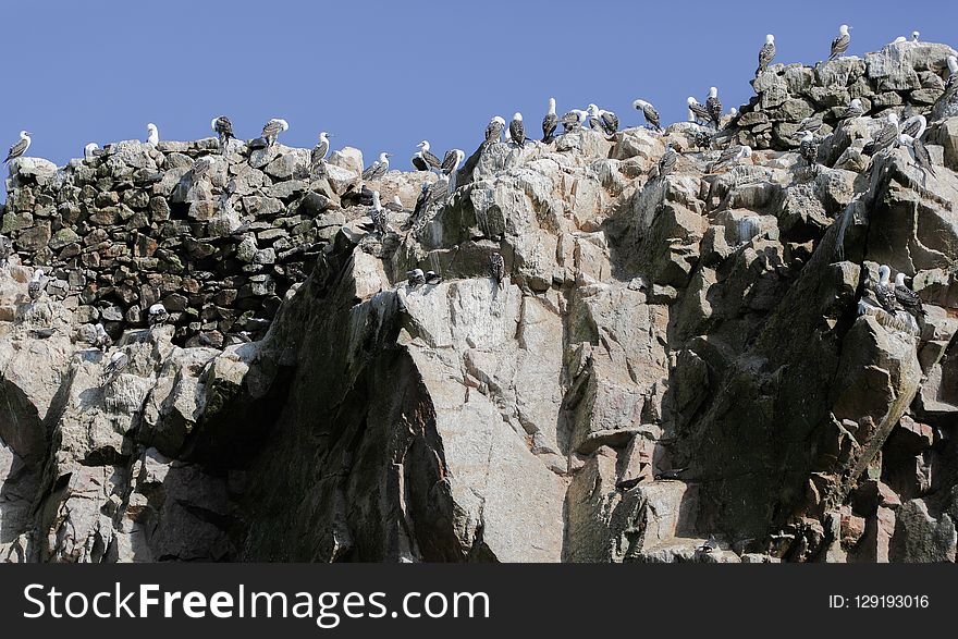 Rock, Formation, Geology, Tree