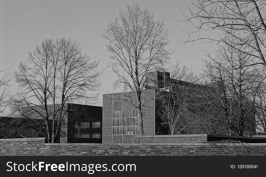 Black And White, Monochrome Photography, Tree, Sky