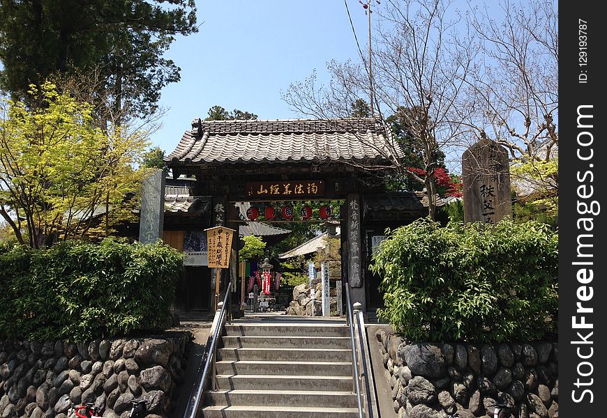 Chinese Architecture, Temple, Plant, Tree