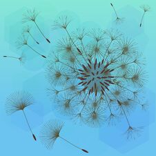Abstract Background Of A Dandelion For Design. Royalty Free Stock Photo