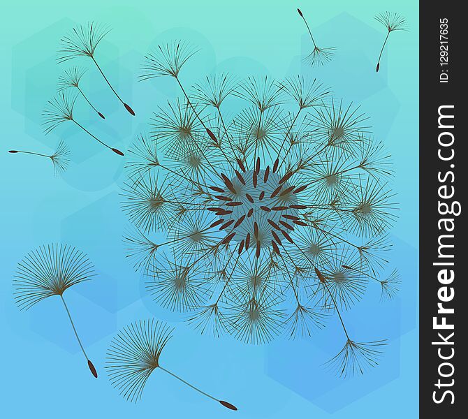 Abstract background of a dandelion for design. The wind blows the seeds of a dandelion. Template for posters, wallpapers, posters. Vector illustrations.