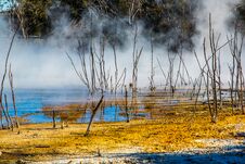 Kuirau Park, Rotorua Royalty Free Stock Photography Kuirau Park, Rotorua Royalty Free Stock Photography