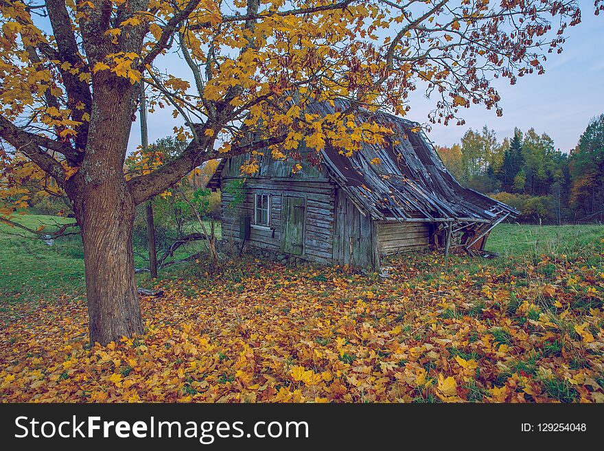 Old house and autumn, trees and leafs. Travel nature photo 2018.