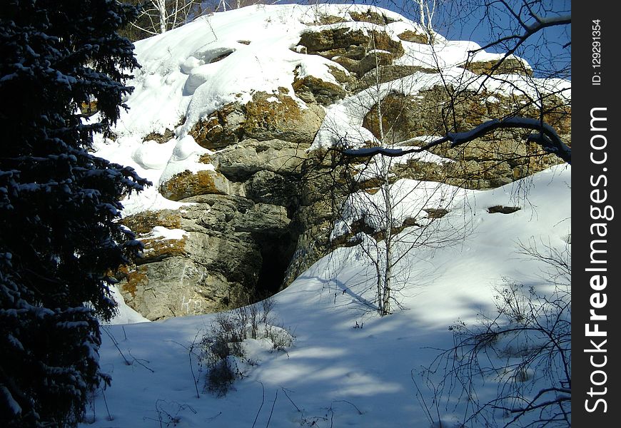 Snow, Winter, Freezing, Tree