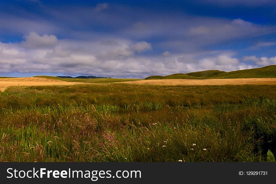 Grassland, Prairie, Ecosystem, Sky