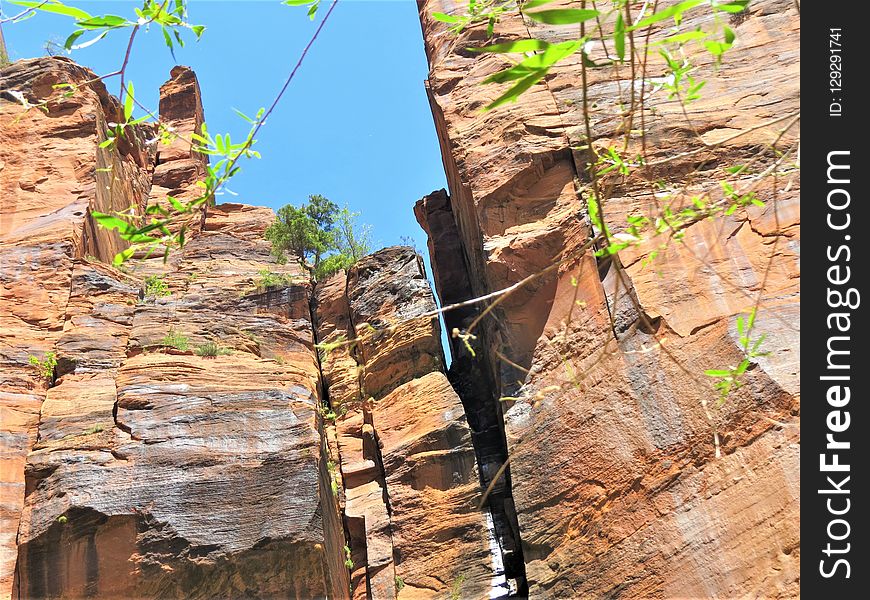 Rock, Tree, Formation, Outcrop