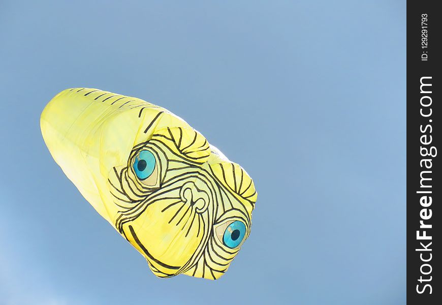 Yellow, Close Up, Feather, Fish