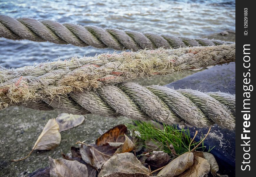 Water, Shore, Grass, Sea