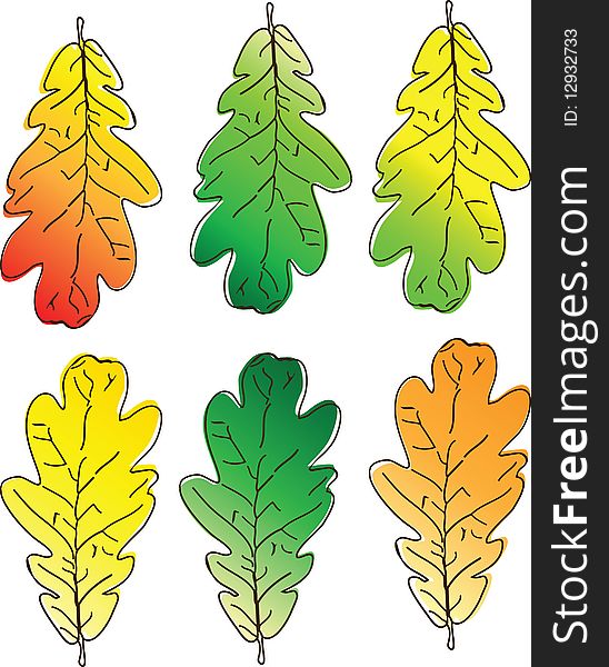 Colored Leaves