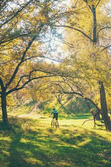 The Girl Rides A Bike In The Autumn Park. Stock Photography