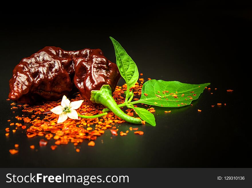 Chili pepper on black background. Space under the text. Extra hot chili pepper Naga Bhut Jolokia Chocolate. Healthy spice. Sale C