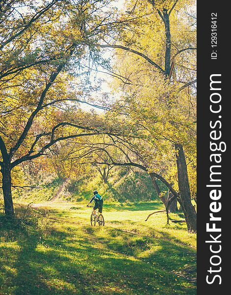 The girl with a backpack rides a bike in the autumn park. Slender woman trains in nature. Sports in the forest. Tourist rides on a dirt trail. Traveling by bike. The girl with a backpack rides a bike in the autumn park. Slender woman trains in nature. Sports in the forest. Tourist rides on a dirt trail. Traveling by bike.