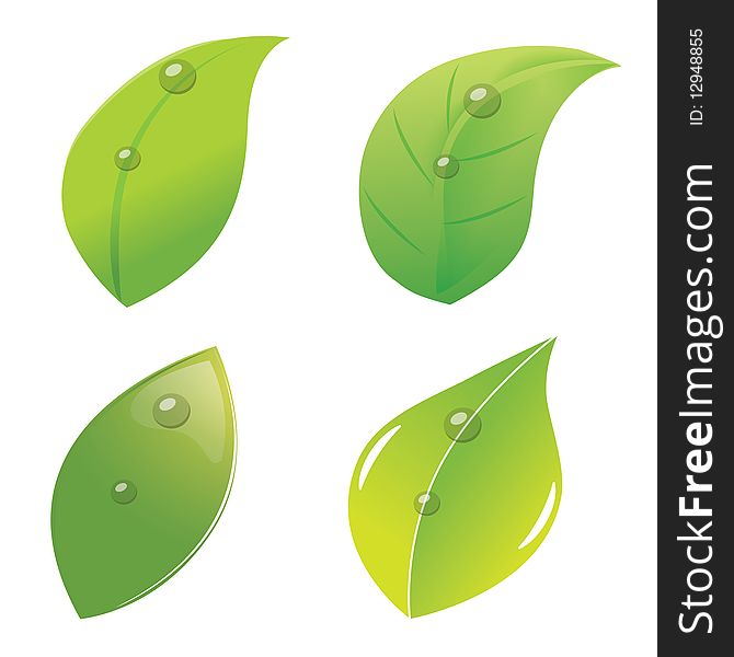 Four leaves style in vector. Four leaves style in vector