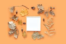 Top View Dried Leaves Notebook Text Orange Background Autumn Fall Flat Lay Stock Image
