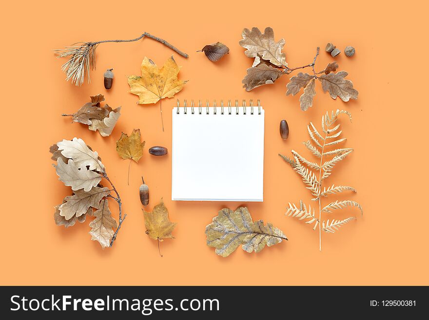 Top view dried leaves notebook text orange background Autumn fall flat lay