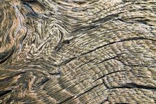 Detail Of Knots On Oak Wood Royalty Free Stock Images