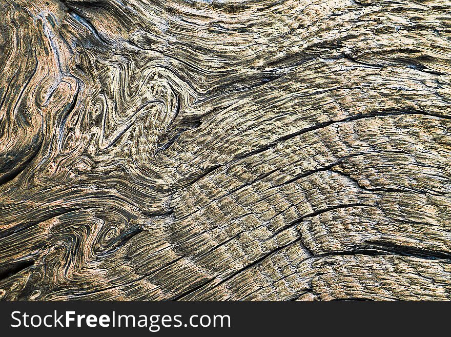 Detail of knots on oak wood