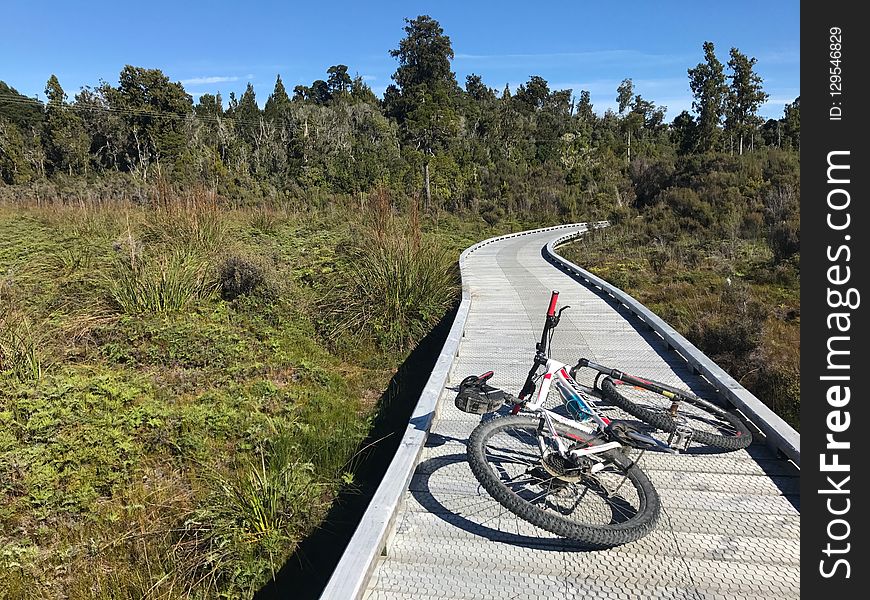 Land Vehicle, Path, Cycling, Road Bicycle