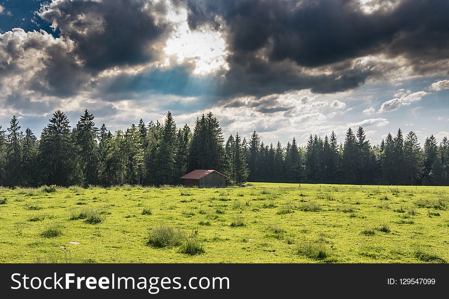 Grassland, Sky, Ecosystem, Nature