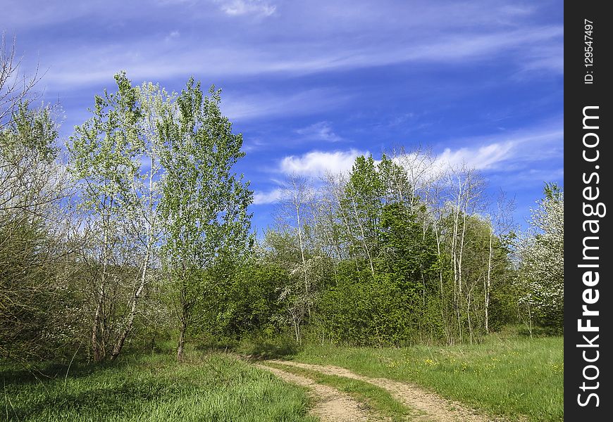 Sky, Ecosystem, Tree, Nature Reserve