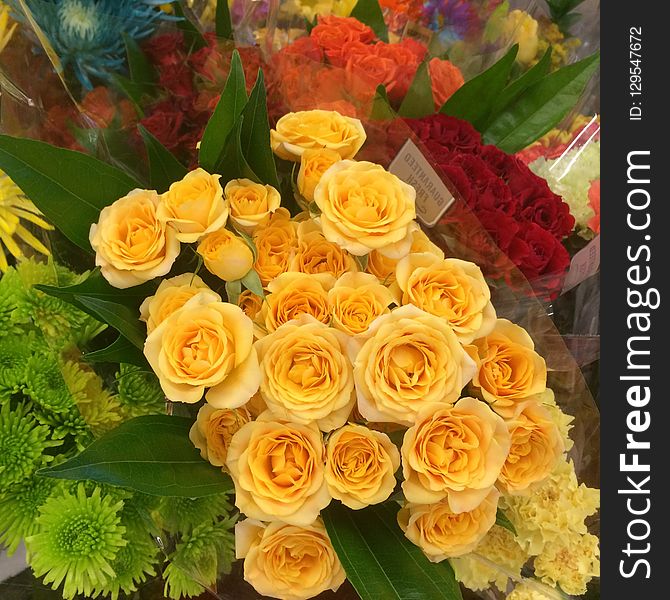 Flower, Yellow, Floristry, Flower Arranging