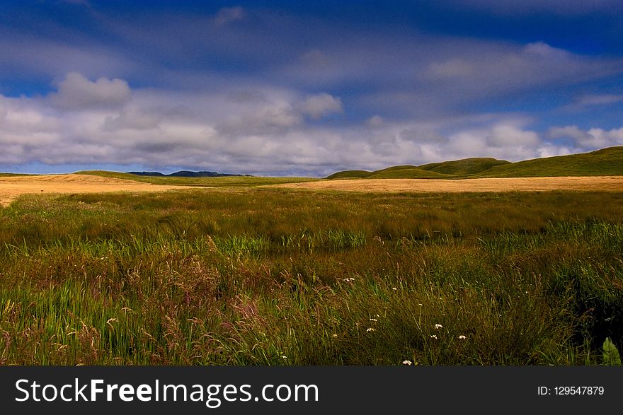 Grassland, Ecosystem, Prairie, Sky