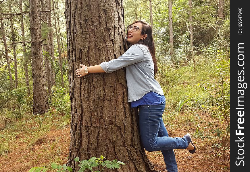 Tree, Nature, Woody Plant, Girl