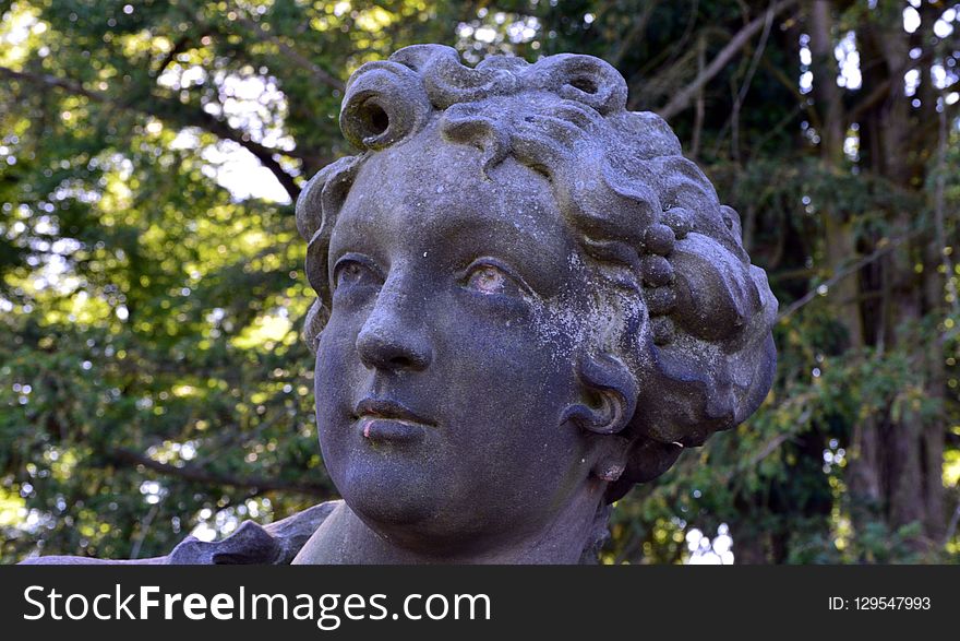 Sculpture, Statue, Tree, Head