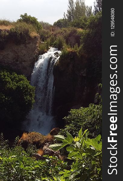 Waterfall, Vegetation, Nature, Nature Reserve