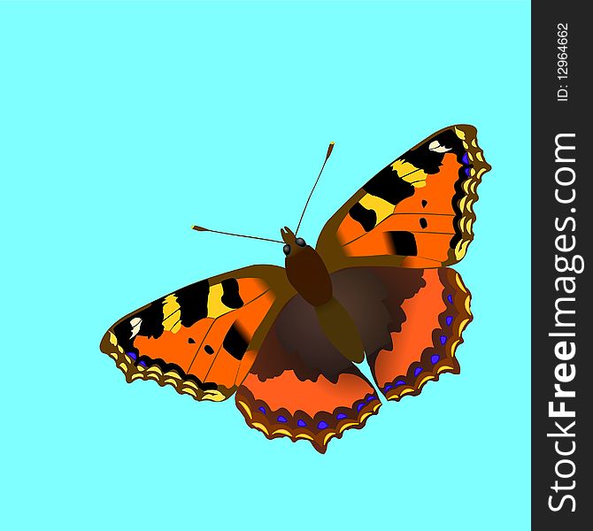 Butterfly Nymphalis utricae , vector illustration. Butterfly Nymphalis utricae , vector illustration