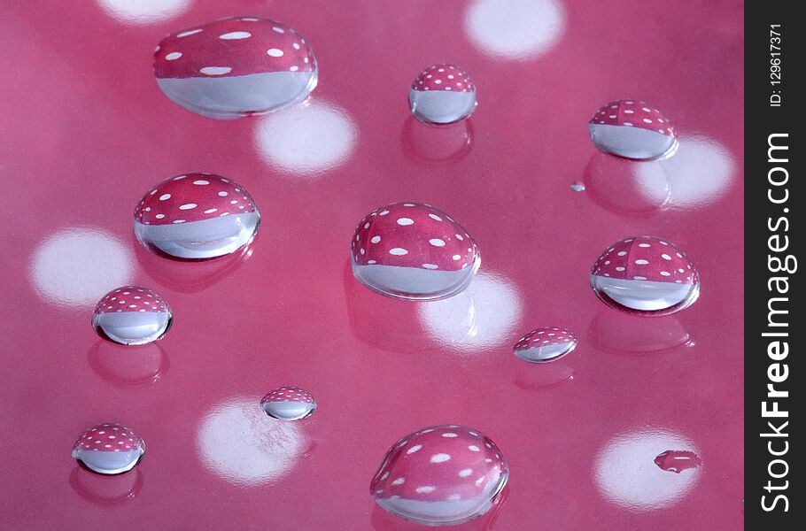 Droplets Of Water Reflecting Pink And White Spots