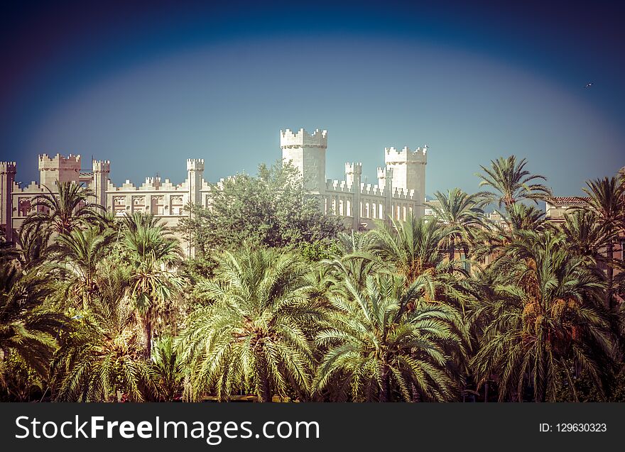 Palma de Mallorca Lonja Majorca