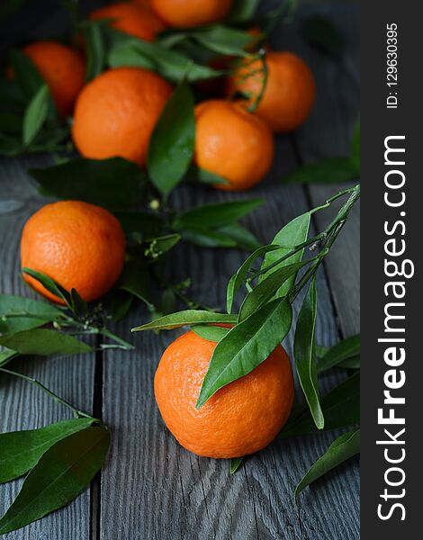 Tangerines oranges, mandarins, clementines, citrus fruits with leaves in basket on Gray background. Mandarin oranges