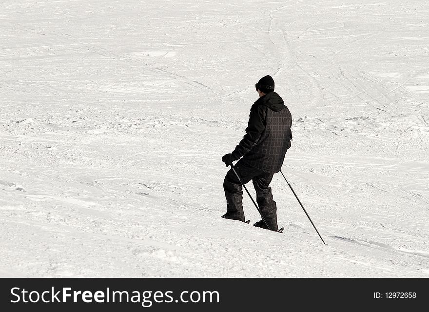 Skier in the snow seen from behind. Skier in the snow seen from behind