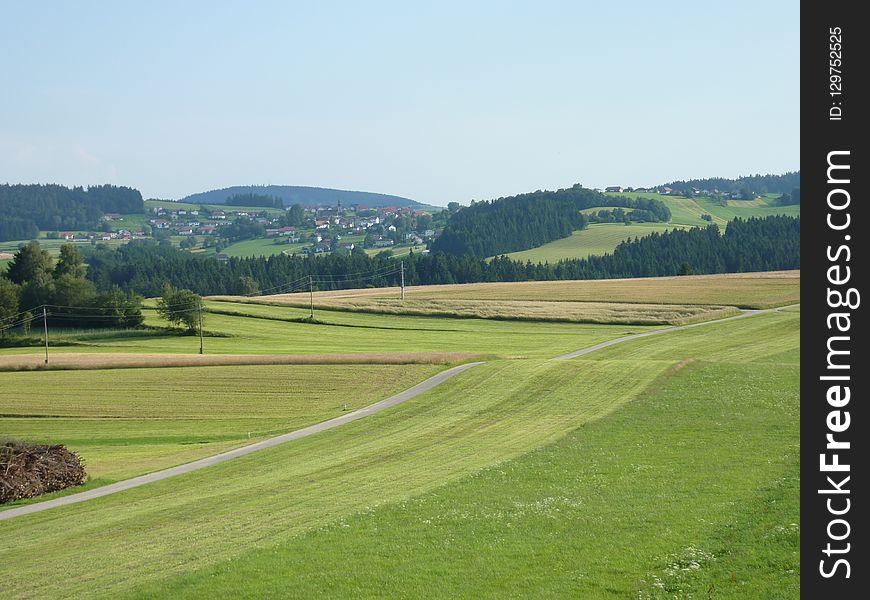 Grassland, Plain, Field, Pasture