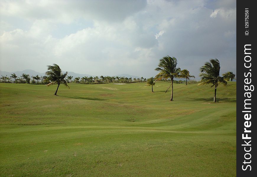 Golf Course, Golf Club, Grassland, Grass