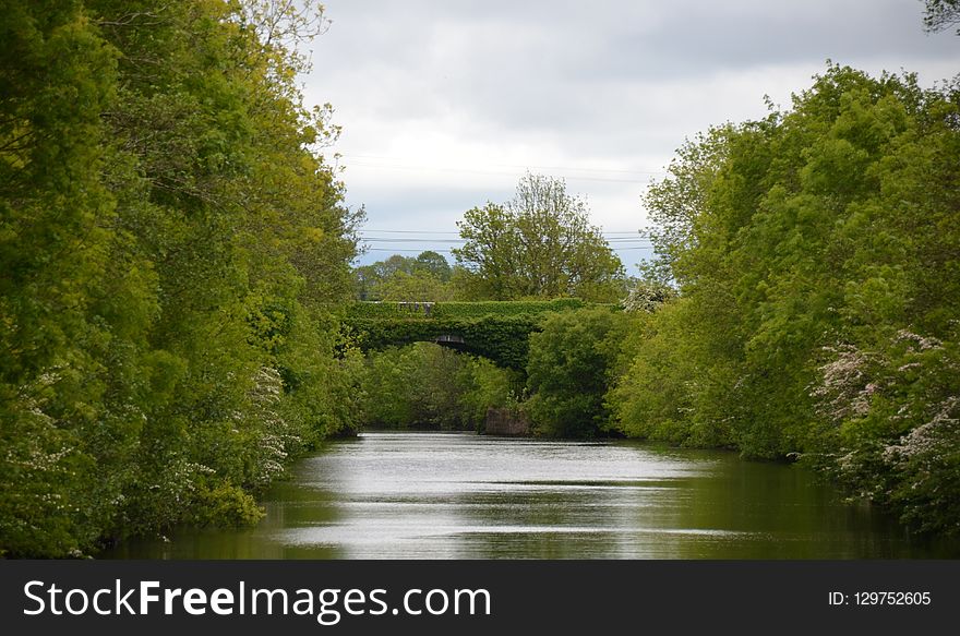 Waterway, Water, River, Nature