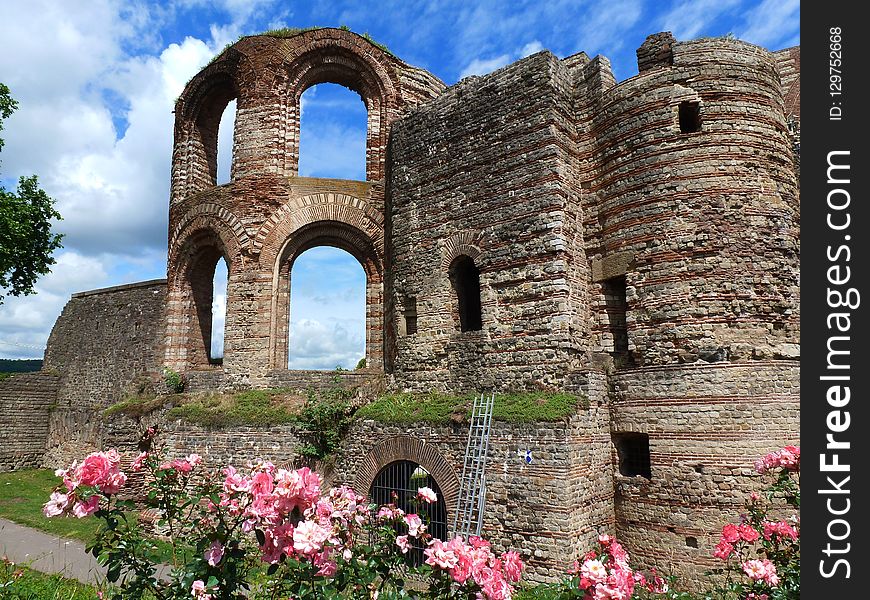 Flower, Ruins, Historic Site, Medieval Architecture