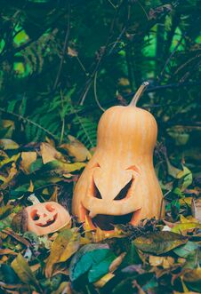 Carved Pumpkin Lamp. Traditional Halloween Decorations Stock Image