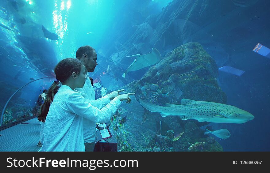 Teenage girl with Dad amusingly watching the fish in the Aquarium