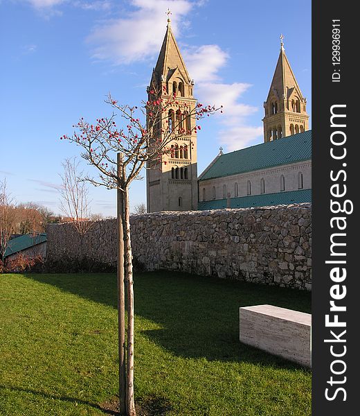 Spire, Steeple, Tree, Sky