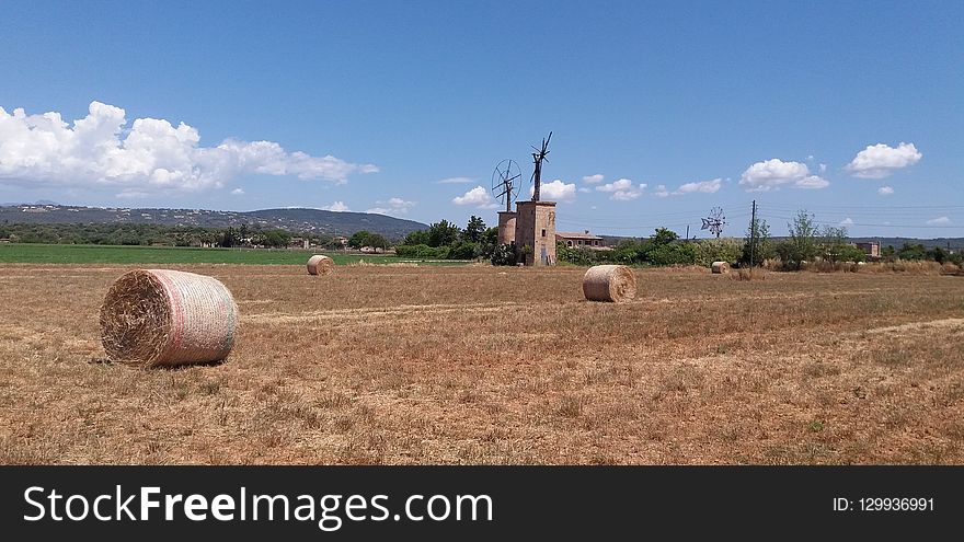 Field, Agriculture, Hay, Prairie