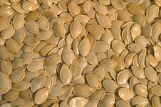 Pumpkin Seed Background Royalty Free Stock Images Pumpkin Seed Background Royalty Free Stock Images