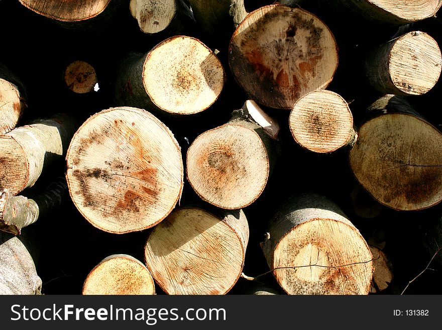 Digital macroshot of a pile wood. Digital macroshot of a pile wood