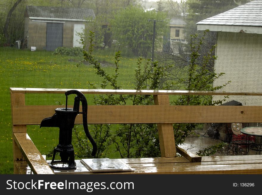 Rain falling in a yard. Rain falling in a yard